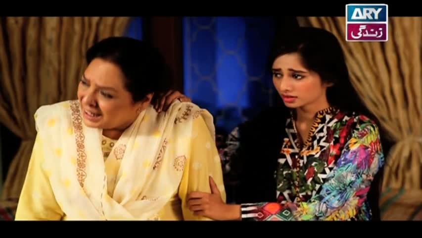 Haal-e-Dil Ep 50 - ARY Zindagi Drama