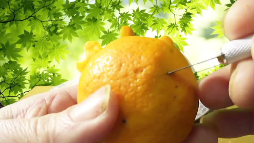 How To Make Mandarin Orange Food Art : Основное воздействие на организм человека