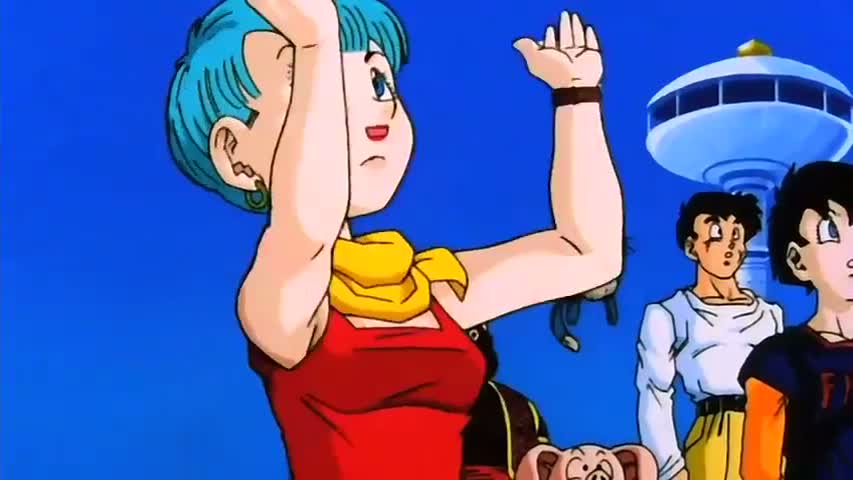 Dragon Ball Z - Season 9Episode 36 : Grandaughter Pan