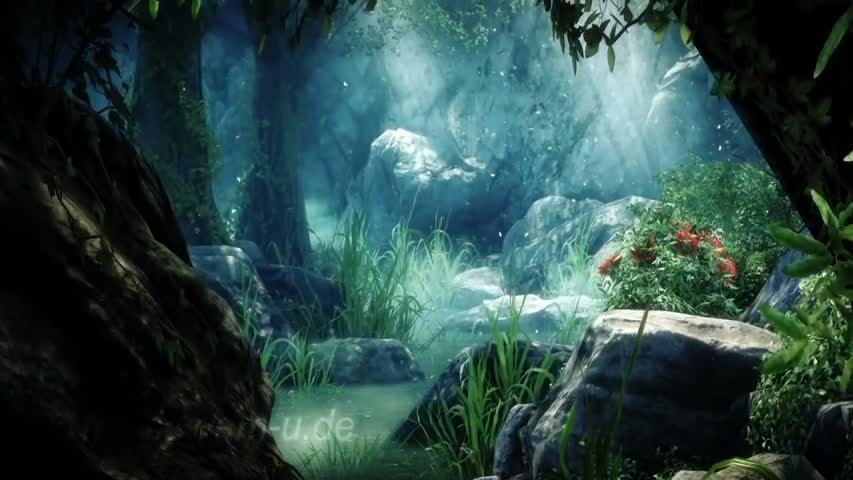 Forest animation  Cryengine real-time Bokeh dof 