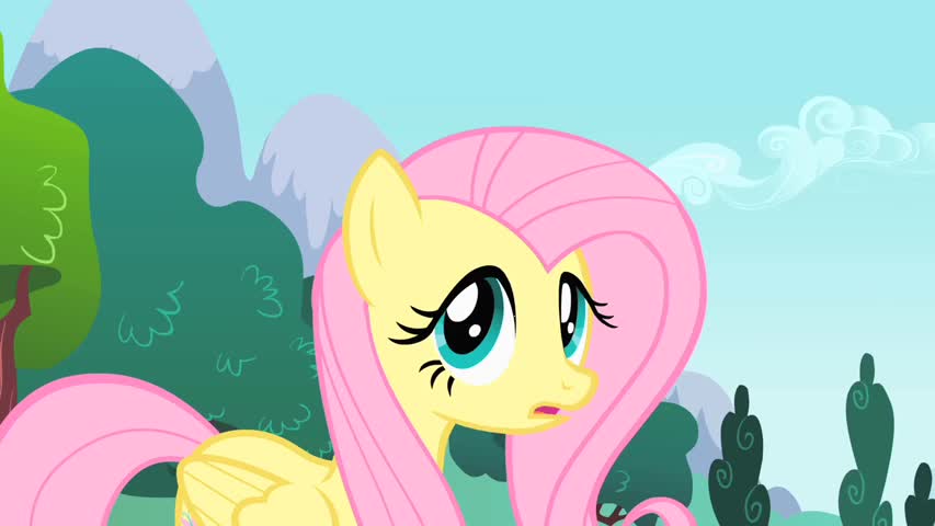 My Little Pony: Friendship is Magic - Season 1 Episode 16: Sonic Rainboom