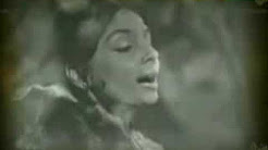 Sohni Dharti Allah Rakhe