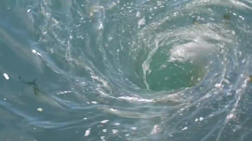 Swimming with a Whirlpool! (Ocean Whirlpool)