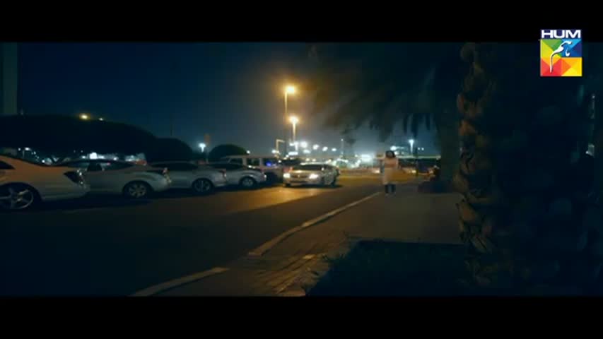 Dil e Jaanam Episode 17 HUM TV Drama   23 June 2017