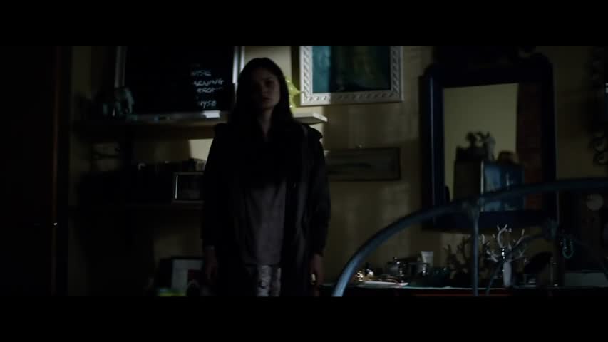 FIFTY SHADES DARKER  (2017) 