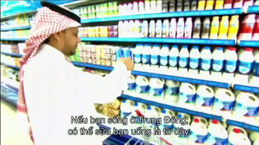 How do they do it? Largest Dairy Factory In Saudi Arabia - Megafactories...