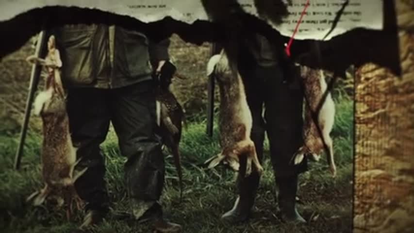 Zoo - Season 1 Episode 4 - Pack Mentality