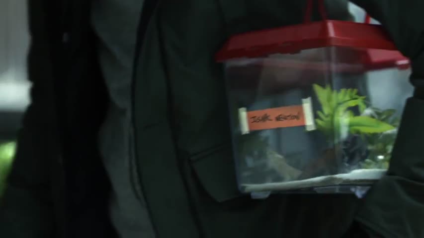 Man Seeking Woman - Season 1 Episode 1 - Lizard