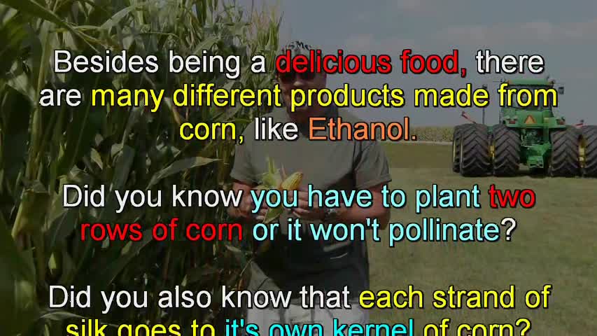 Corn Machine! What do you mean CORN doesn't come from cans