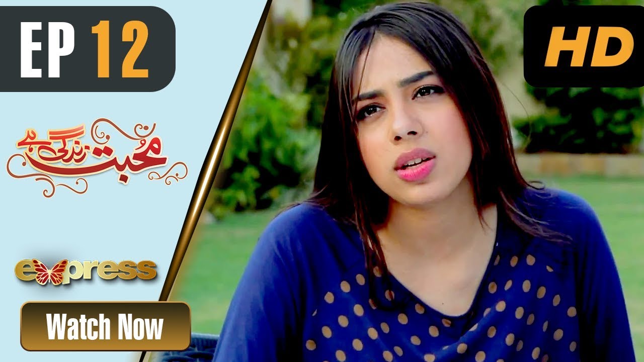 Mohabbat Zindagi Hai - Episode 12