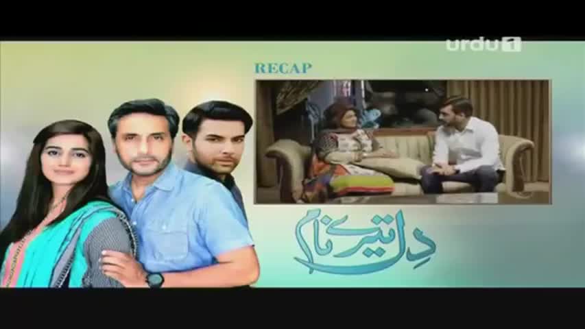 Dil Teray Naam Episode 11
