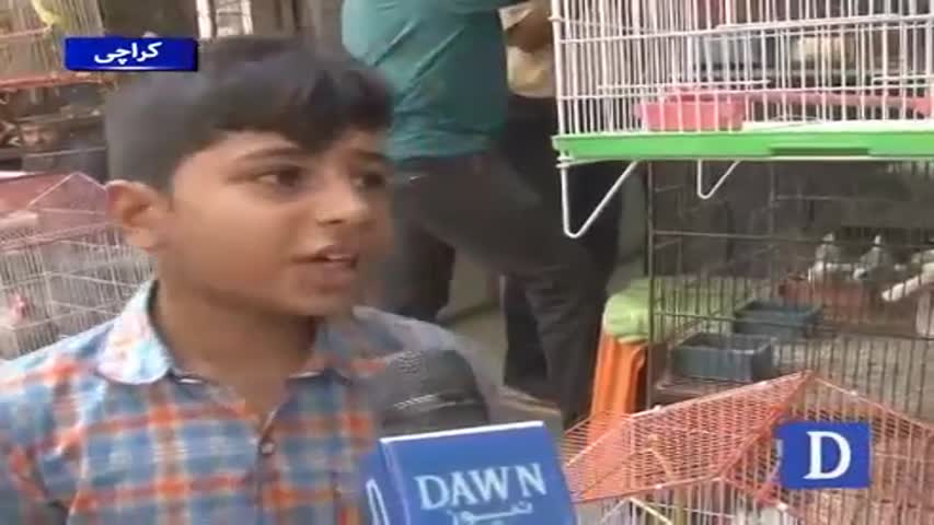 famous Empress bird market in karachi