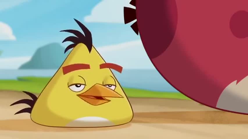 Angry Birds Toons - Season 1 Episode 20: Run Chuck Run