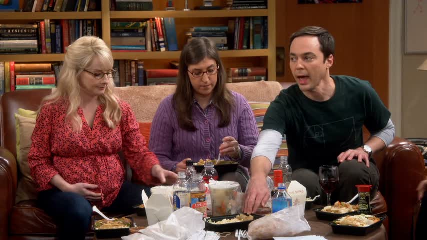 The Big Bang Theory S011 E2 The Retraction Reaction