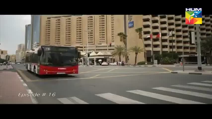 Dil e Jaanam Episode 16   HUM TV Drama 16 June 2017