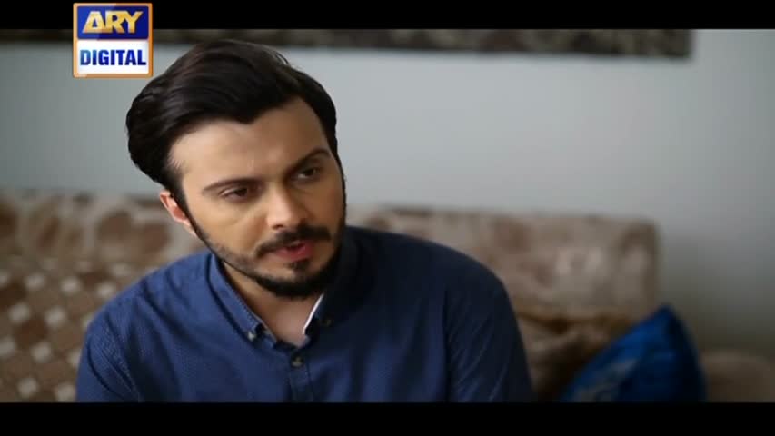 Shehzada Saleem Ep 116 - 31st August 2016 - ARY Digital Drama