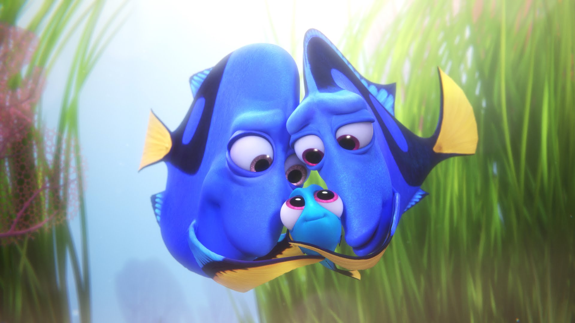Finding Dory ALL MOVIE CLIPS - 2016 Pixar Animation