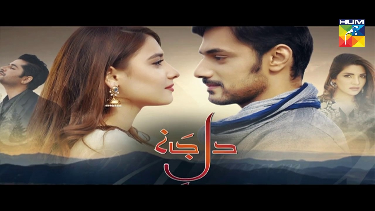 Dil e Jaanam Episode 19 HUM TV Drama - 7 July 2017
