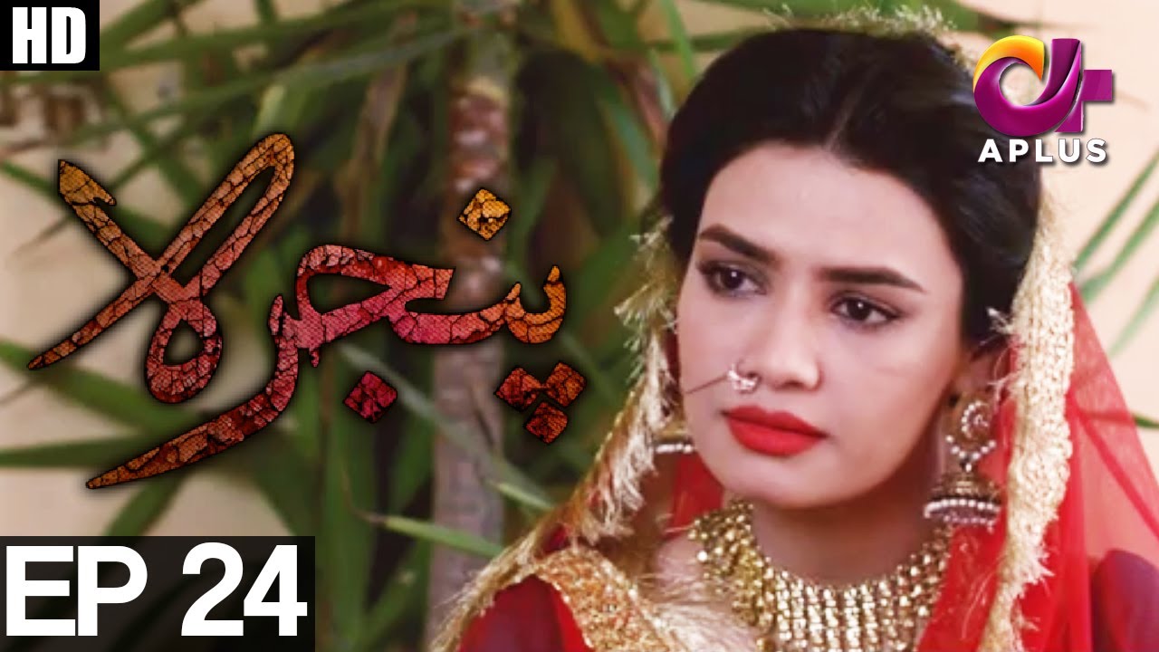 Pinjra - Episode 24 | A Plus ᴴᴰ Drama | Yumna Zaidi, Samina Ahmed, Hassan Niazi