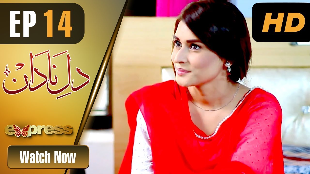 Dil e Nadaan - Episode 14