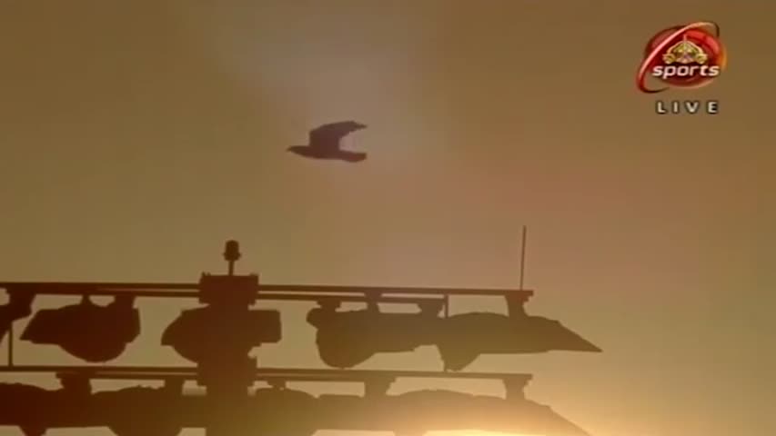 Pakistan vs Sri Lanka 2017 | 2nd T20 | Highlights