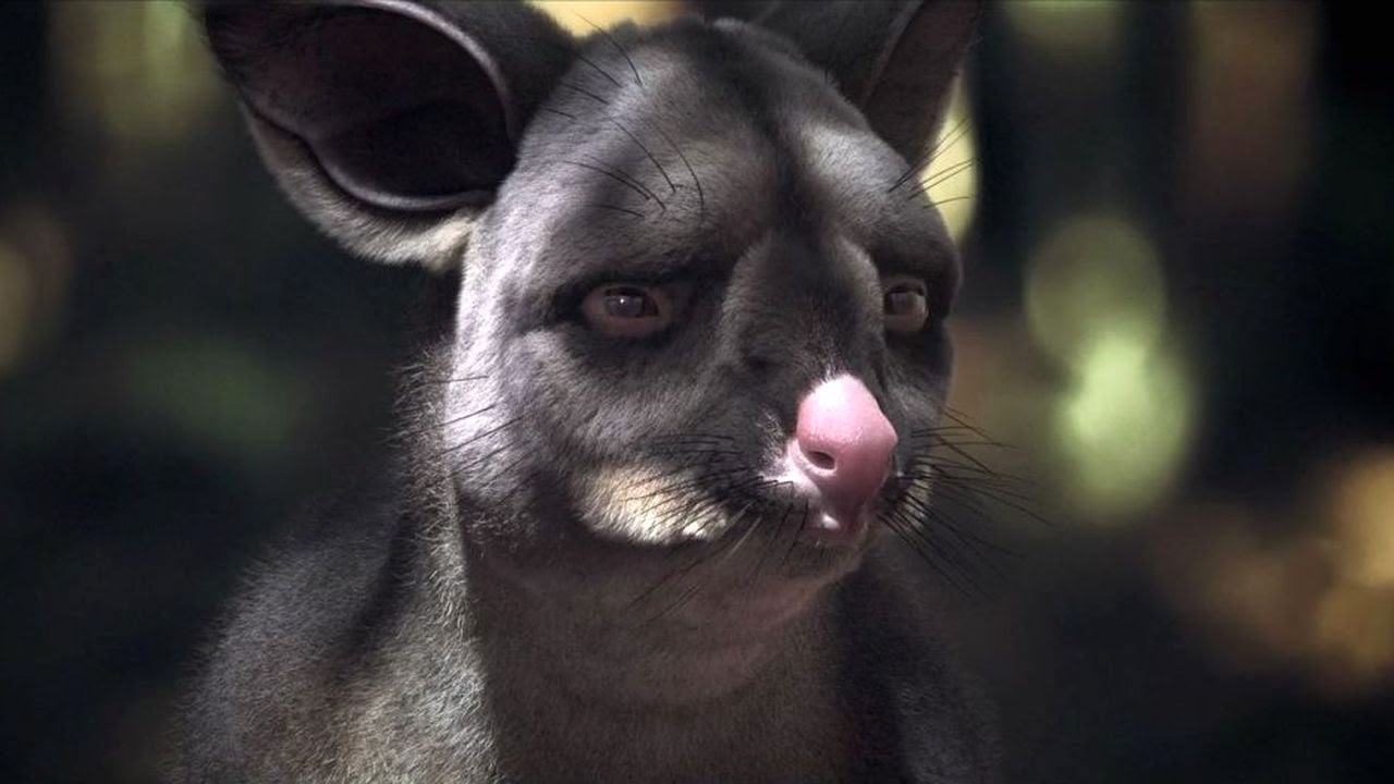 Accidents, Blunders and Calamities Short Film