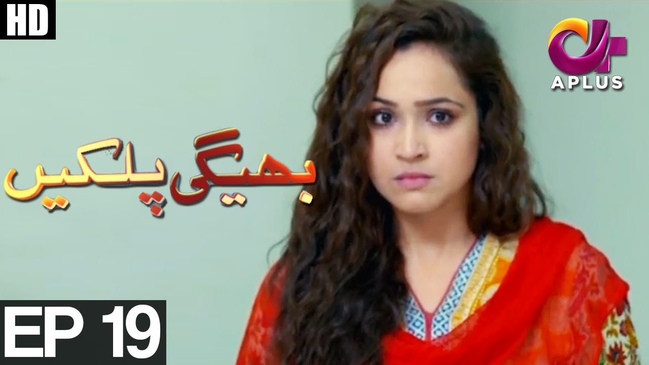 Bheegi Palkein Episode 19 | Aplus ᴴᴰ