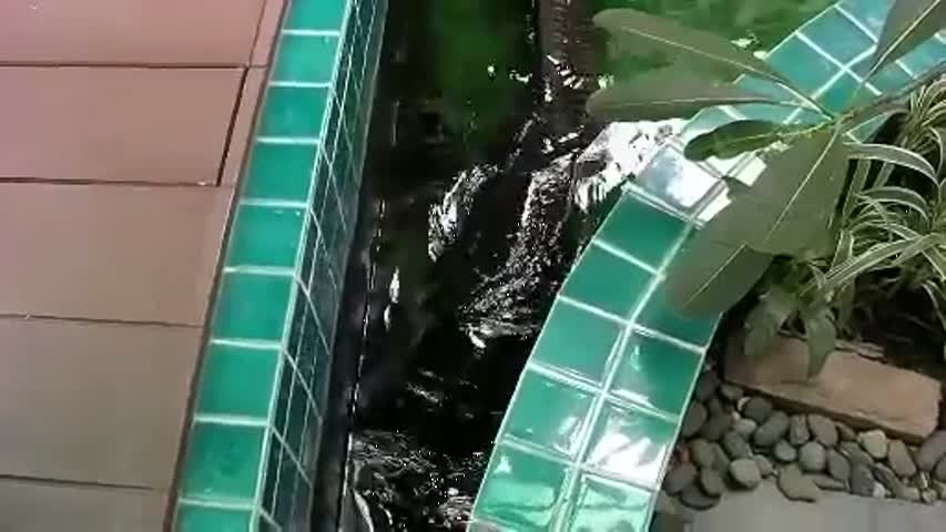 จับ Monster Fish บ้านกัปตันสน