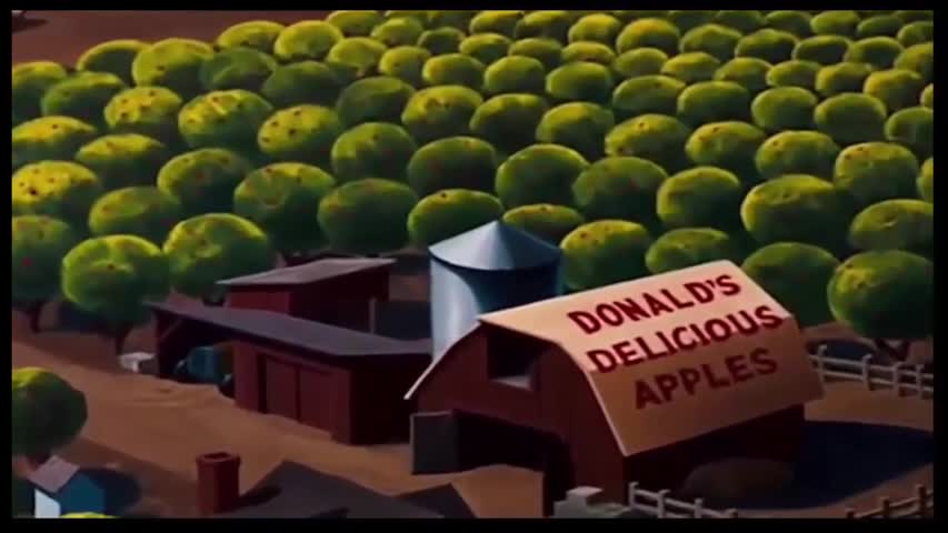 ᴴᴰ Donald Duck Cartoons & Chip and dale Full Episodes - Daisy Duck, Mickey Mouse, Pluto, Bee,