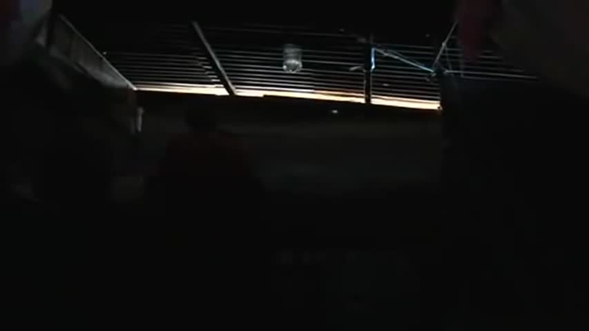 How To Make Light From Plastic Bottle, Lights For Home, FREE Energy, NEW source