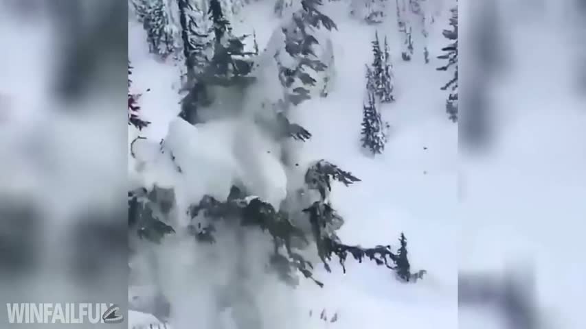  Fails of the Month (January 2017) 