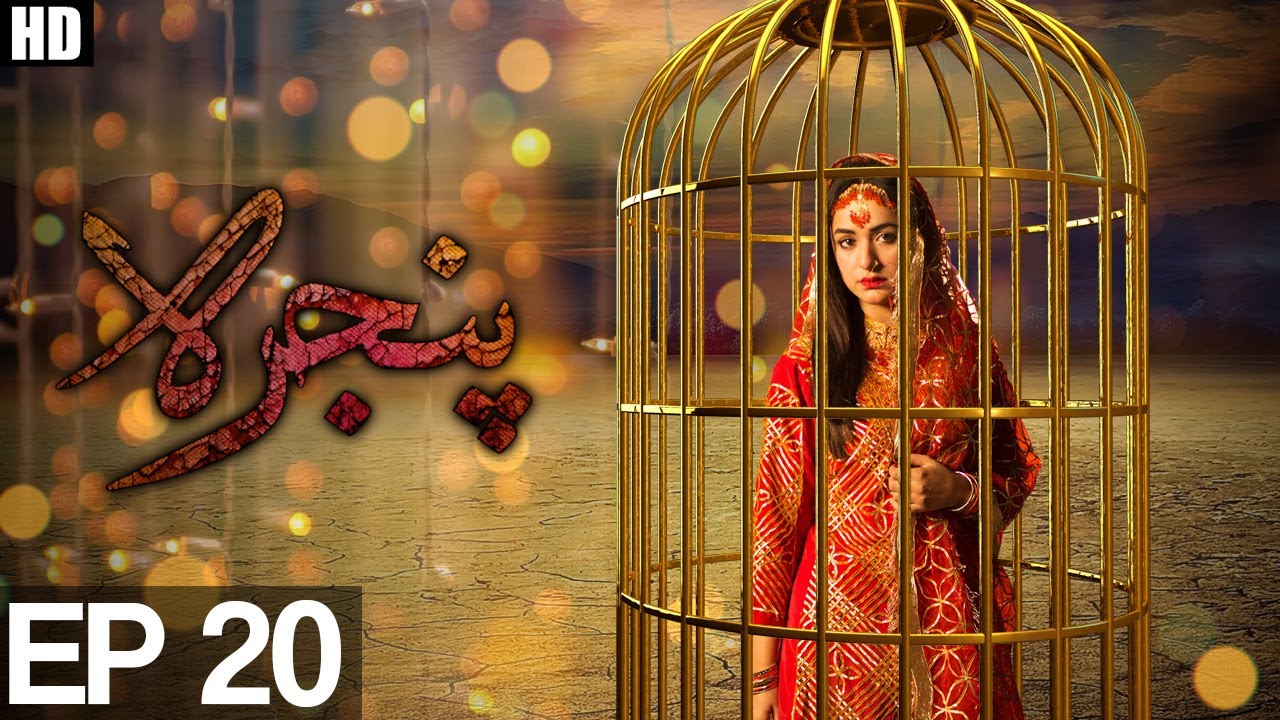Pinjra - Episode 20  | APlus ᴴᴰ