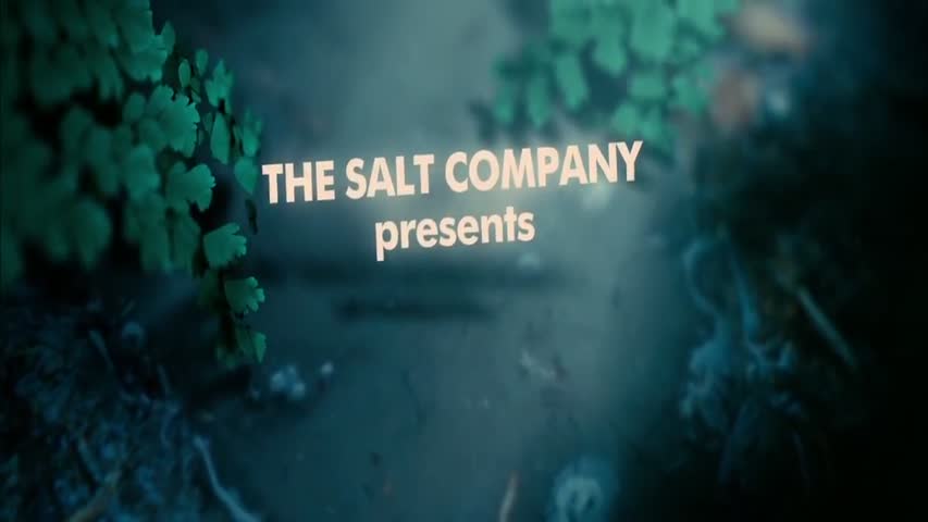 welcome to the jungle 2013