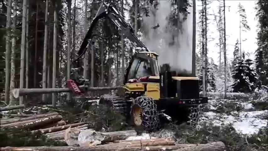 Amazing Tree Cutting Machine Compilation