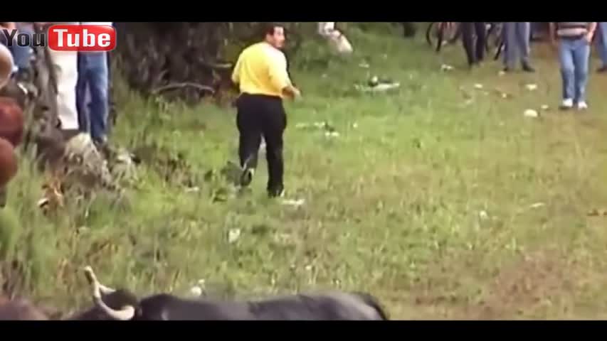 Best funny Videos 2016 - Funny bullfighting festival in Spain 01
