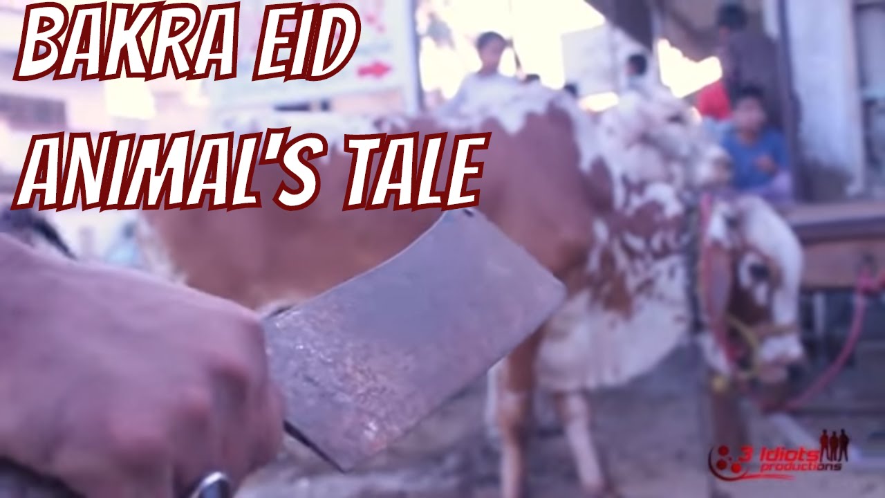 Bakra Eid Animal's Tale | 3 Idiotz Pakistan