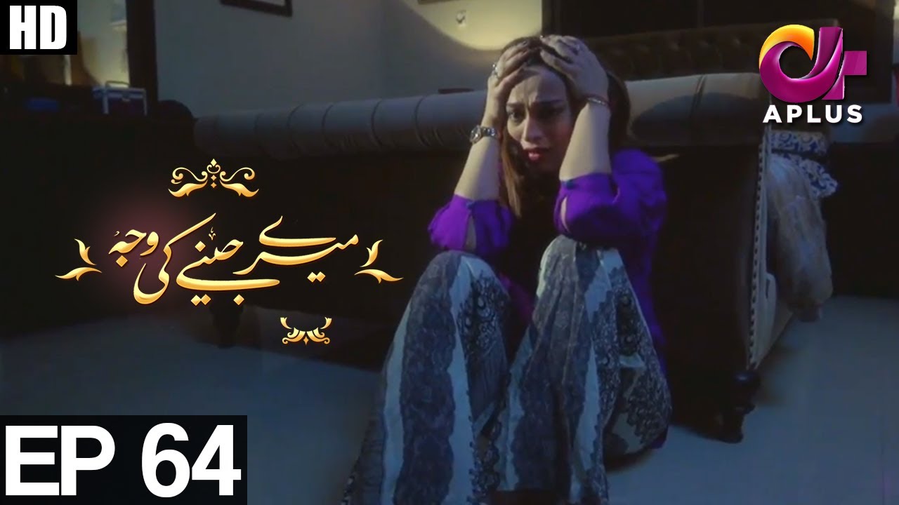 Meray Jeenay Ki Wajah - Episode 64 | APlus ᴴᴰ