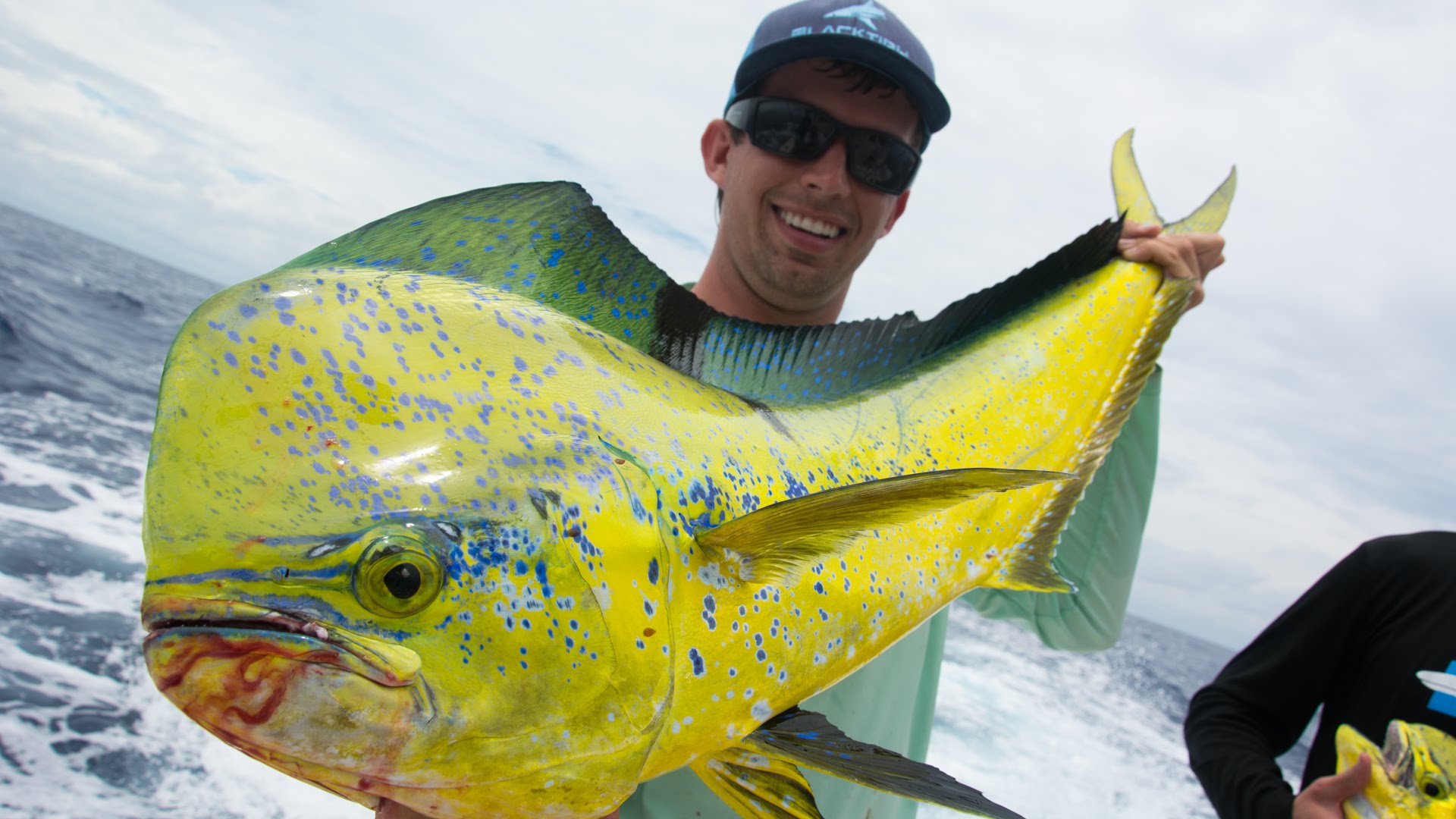 Dolphin Fishing in Miami