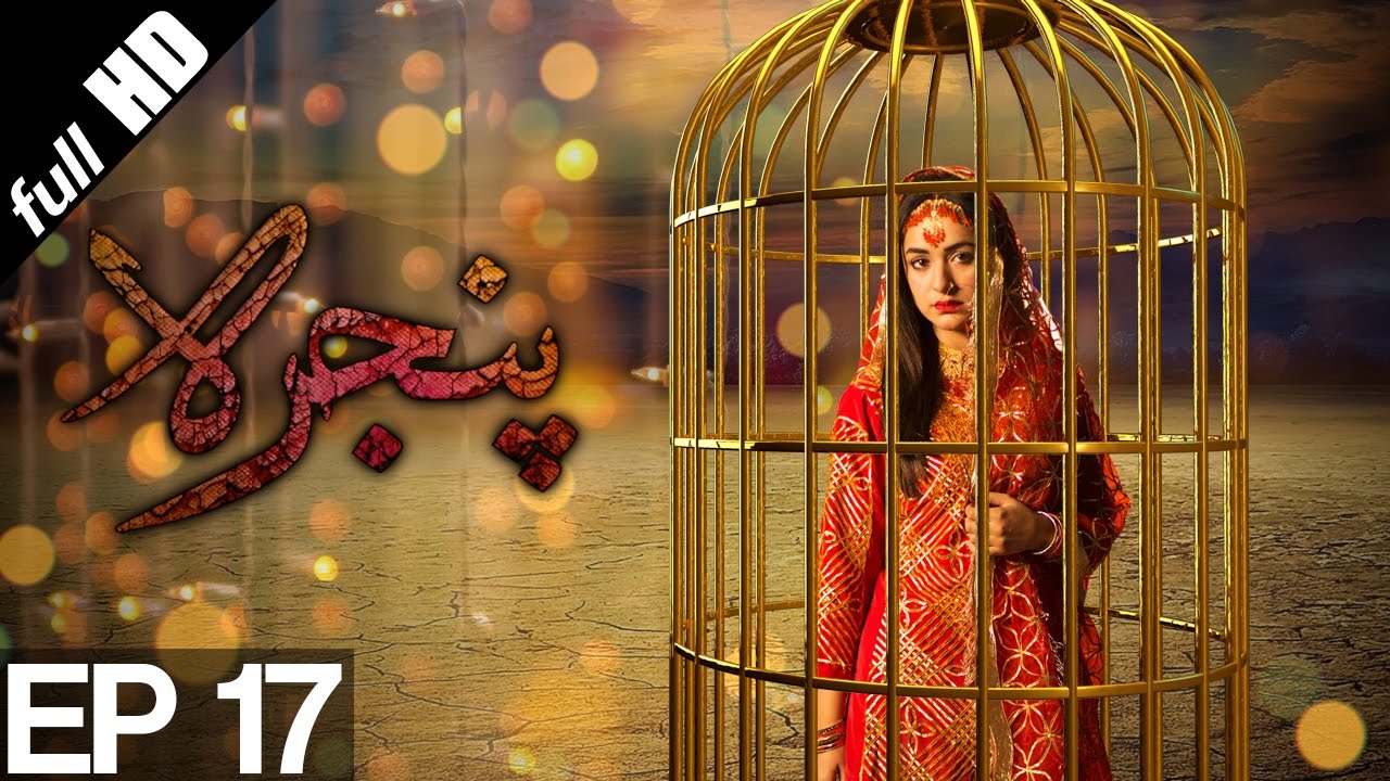 Pinjra - Episode 17 | Aplus