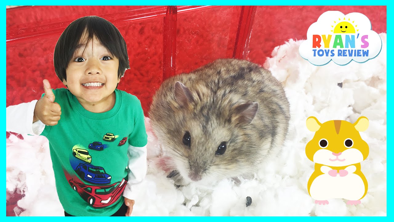 Ryan ToysReview first pet Buying Hamster from PetSmart Family Fun Trip animal toys Kids Video