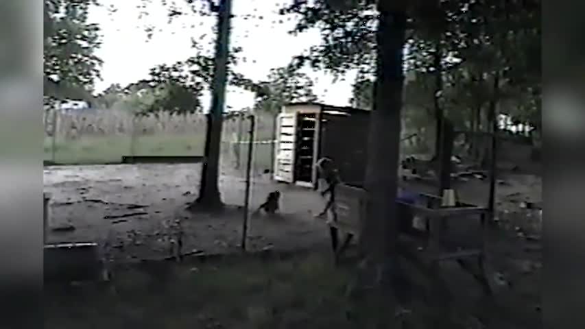 Funniest Animals vs Kids Videos Weekly Compilation November 2016 | Kyoot Kids