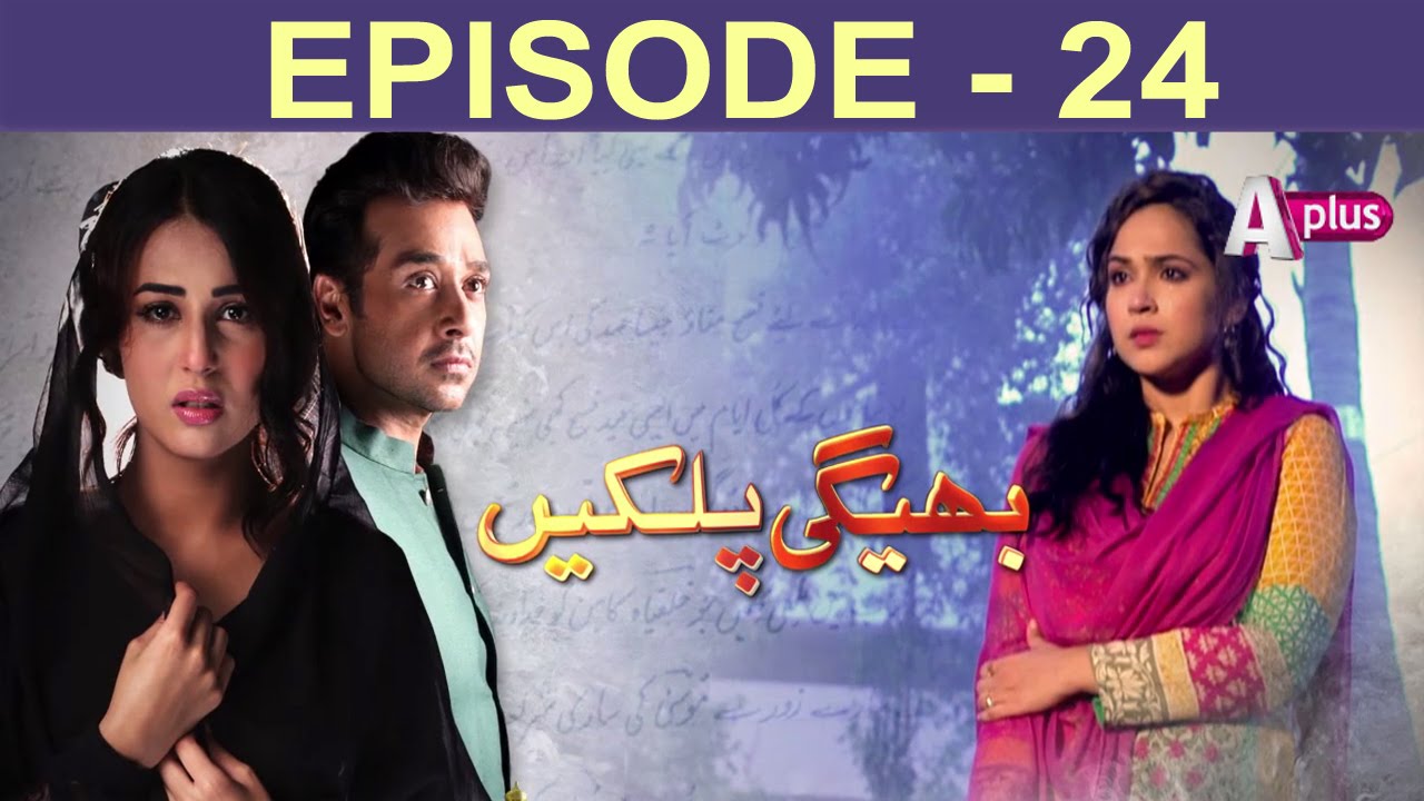 Bheegi Palkein - Episode 24  A Plus
