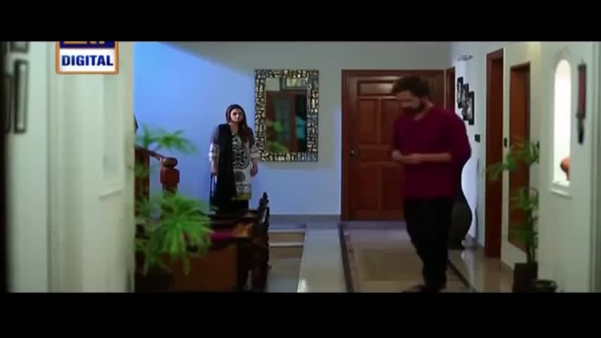 Gudiya Rani Episode 247