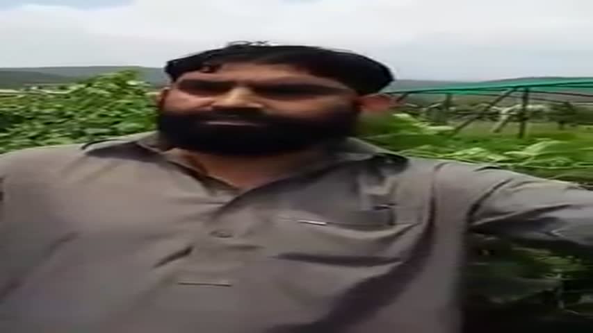 Grapes Pruning in URDU in Pakistan(very informative)