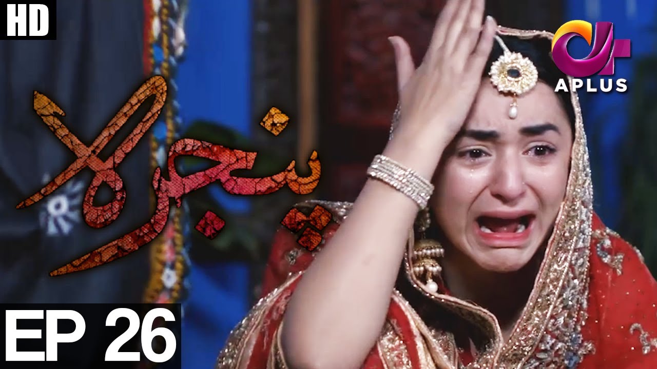 Pinjra - Episode 26 | A Plus ᴴᴰ Drama | Yumna Zaidi, Samina Ahmed, Hassan Niazi