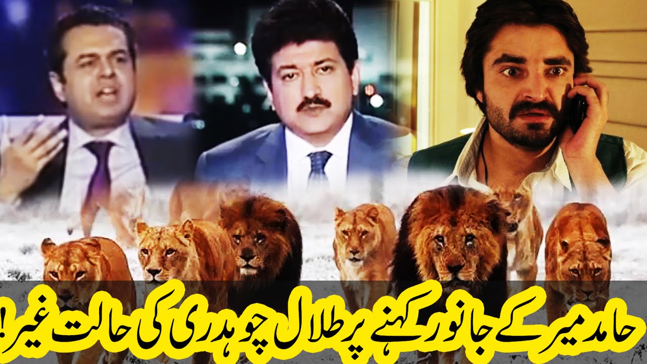 حامد میر کے جانور کہنے پر طلال چودھری کی حالت غیر