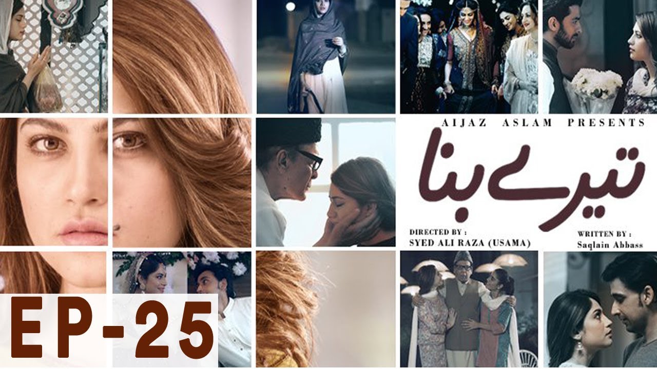 Tere Bina - Episode 25 | Har Pal Geo