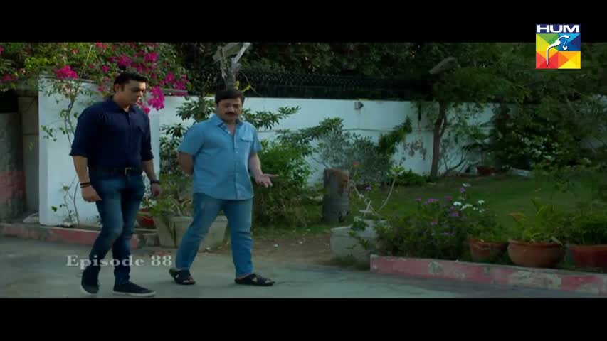Sangsar Episode 88 HUM TV Drama - 7 August 2017