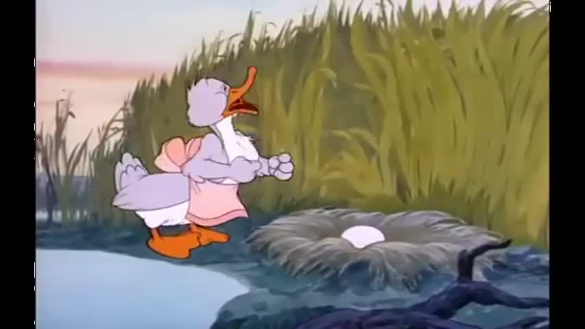 Tom and Jerry Episode 01Little Quacker