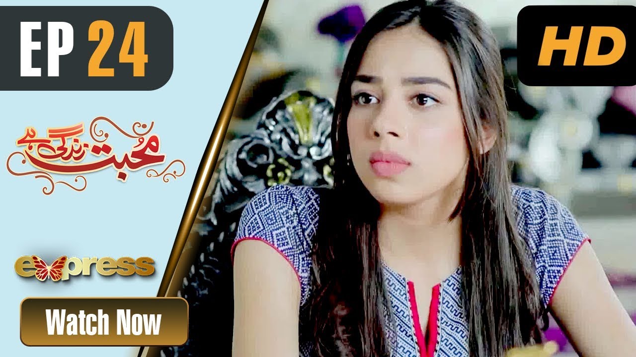 Mohabbat Zindagi Hai - Episode 24